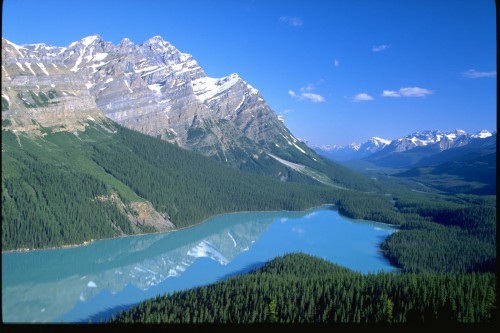 Peyto Lake - Banff National Park - Crédit photo Travel Alberta