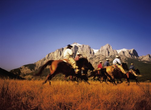 Randonnée à cheval - Crédit photo Travel Alberta