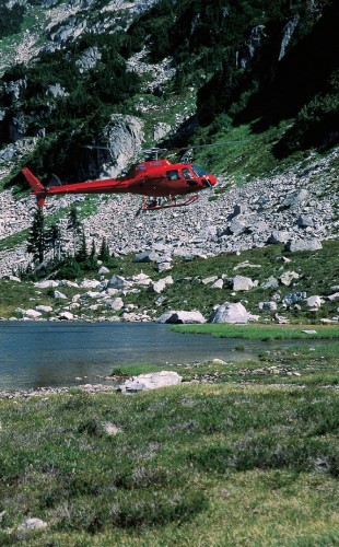 Heli-hiking - Crédit photo Tourism British Columbia, Tom Ryan