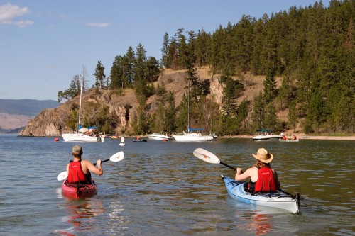 Kayak - Crédit photo Tourism British Columbia, Don Weixl